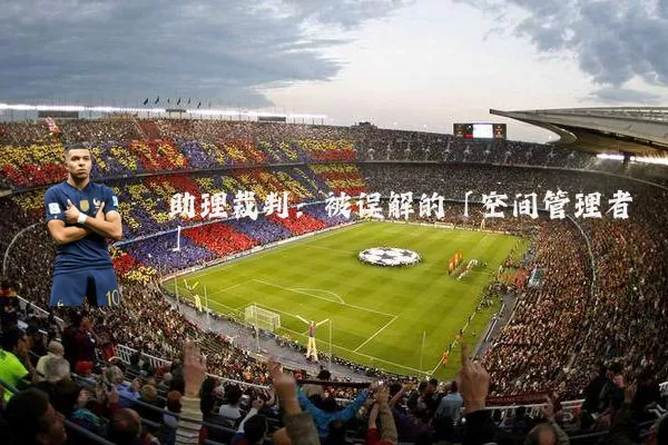 助理裁判：被误解的「空间管理者」
